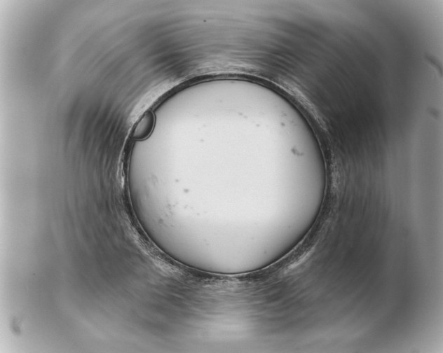 X0000102540885200808291839