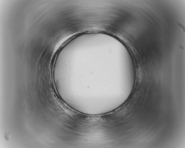 X0000102540886200808291839