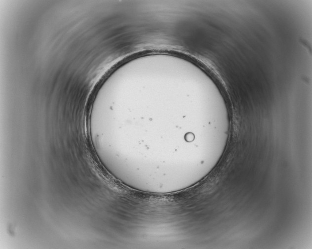 X0000102540887200808291839