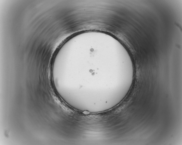 X0000102540888200808291839