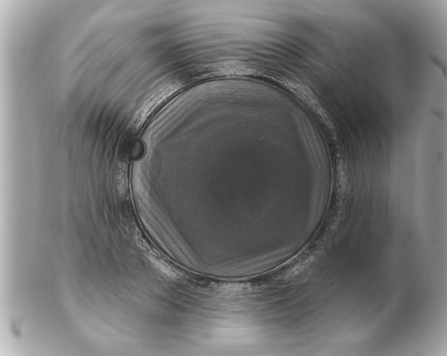 X0000102540889200808291839