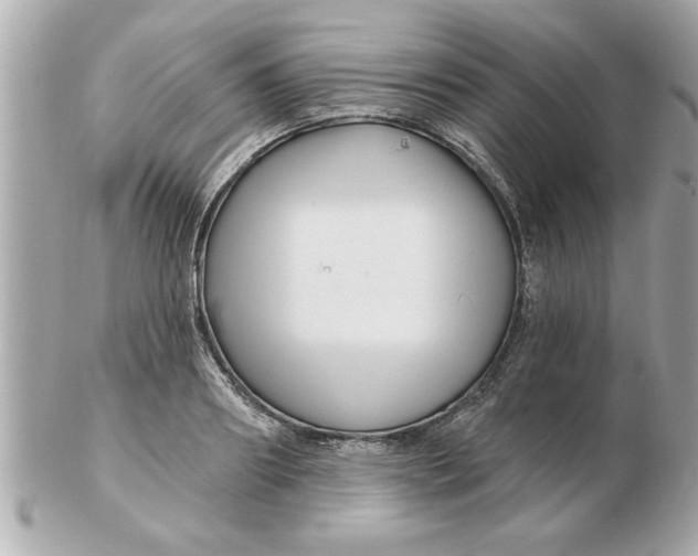 X0000102540890200808291839