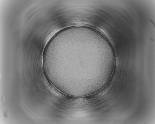 X0000102540891200808291839