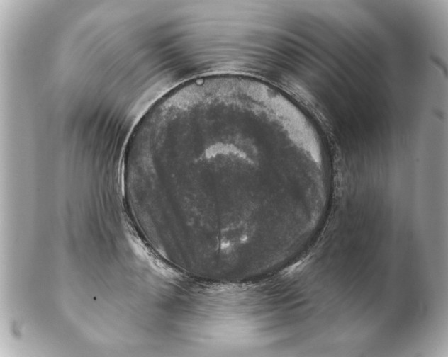 X0000102540892200808291839