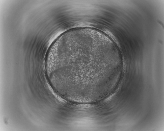 X0000102540893200808291839