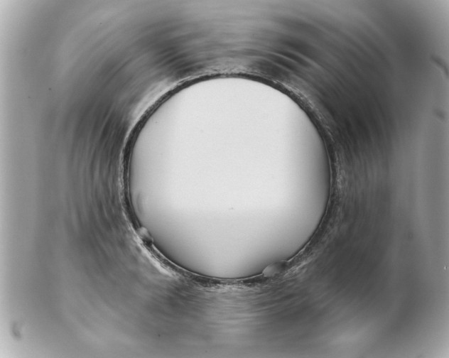 X0000102540894200808291839