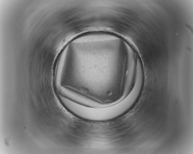 X0000102540895200808291839