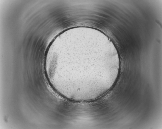 X0000102540896200808291839