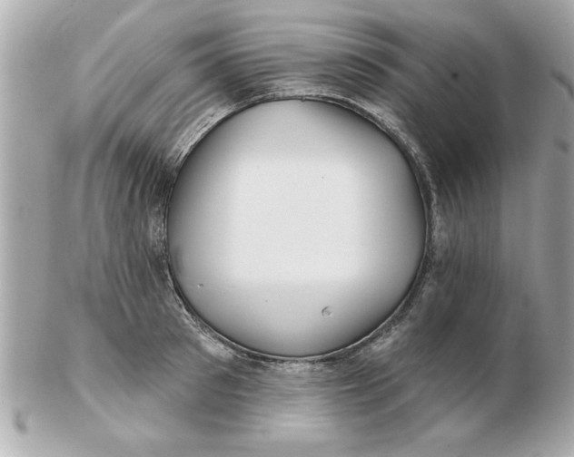 X0000102540897200808291839