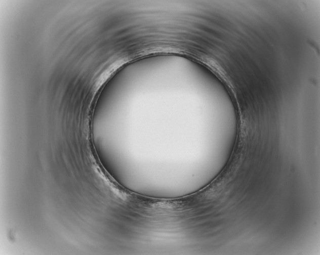 X0000102540898200808291839