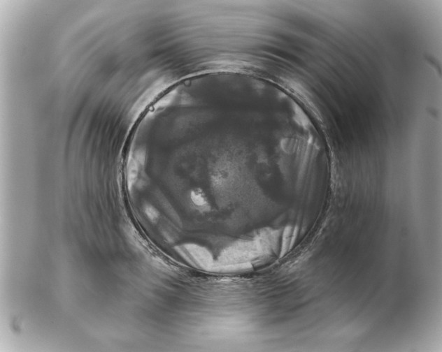 X0000102540899200808291839