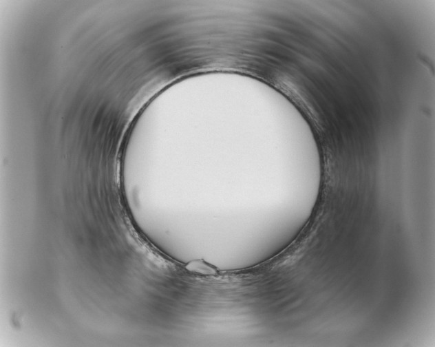 X0000102540900200808291839