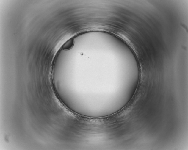 X0000102540901200808291839