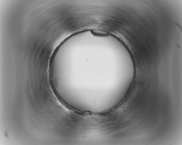 X0000102540902200808291839