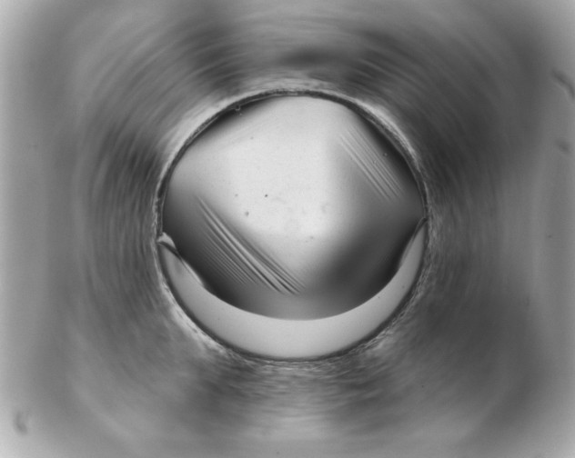 X0000102540903200808291839