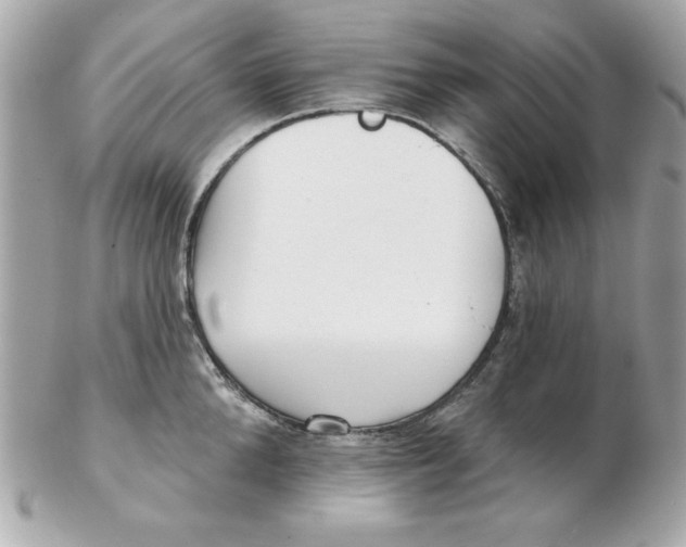 X0000102540904200808291839