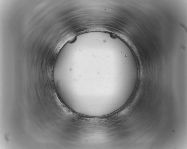 X0000102540905200808291839