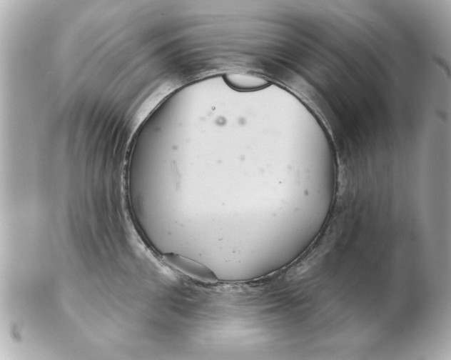 X0000102540906200808291839