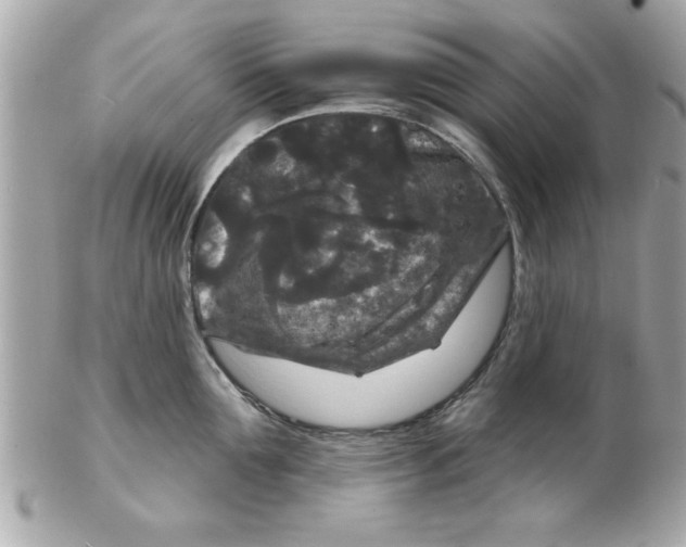 X0000102540907200808291839