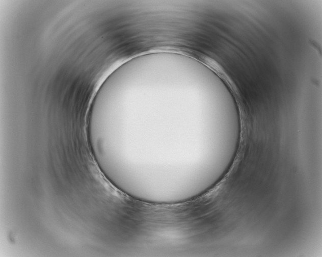 X0000102540908200808291839