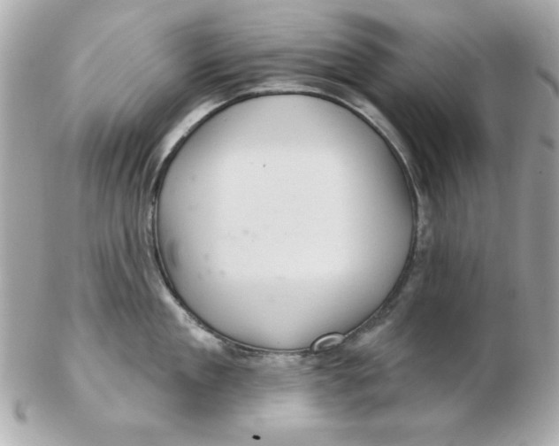 X0000102540909200808291839