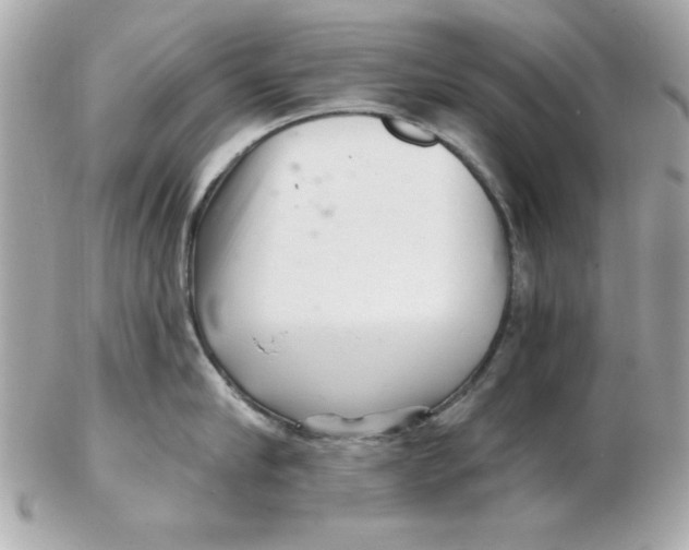 X0000102540910200808291839