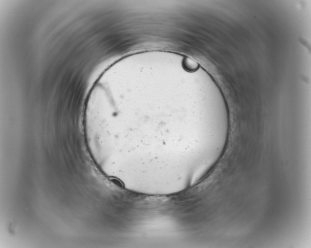 X0000102540912200808291839