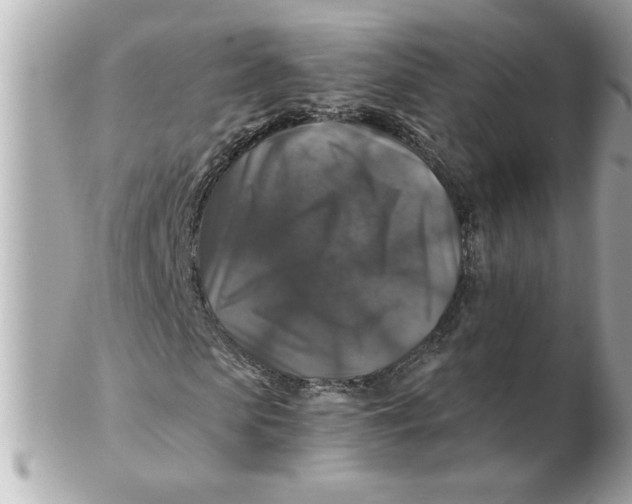 X0000102540913200808291838