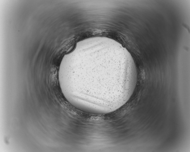 X0000102540914200808291838