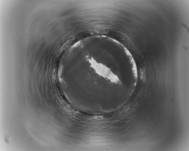 X0000102540915200808291838