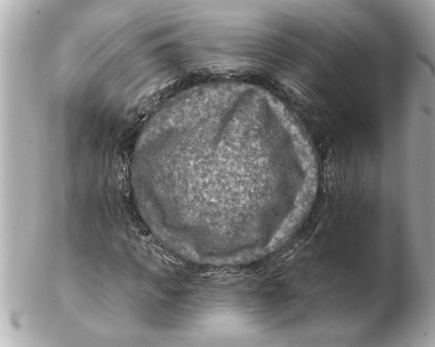 X0000102540917200808291838