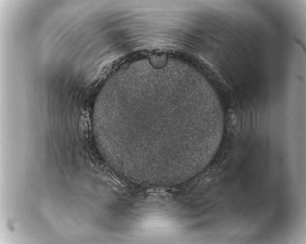 X0000102540918200808291838