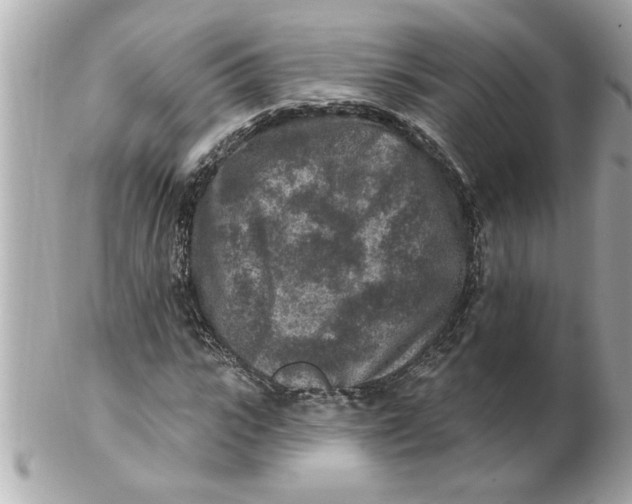 X0000102540919200808291839