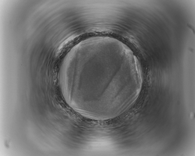 X0000102540920200808291839