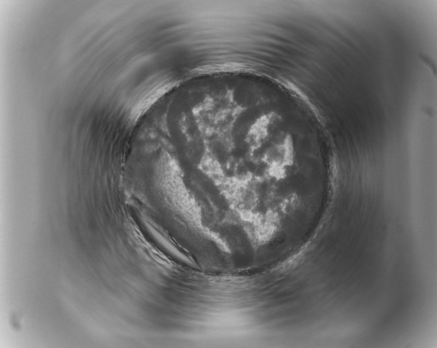 X0000102540921200808291839