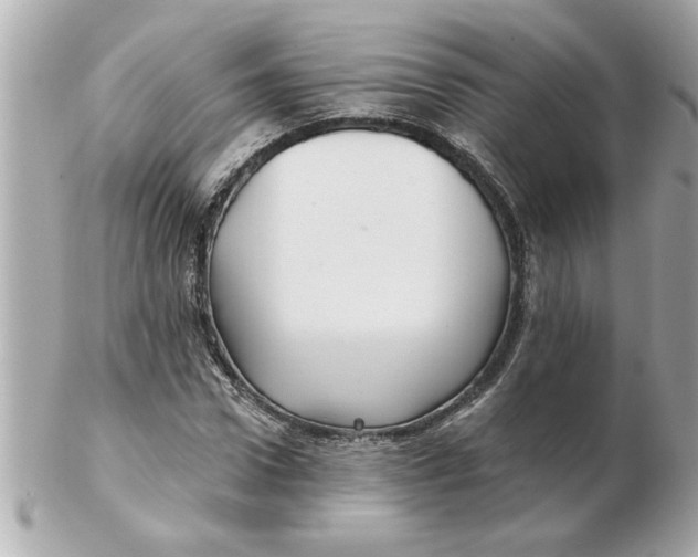 X0000102540922200808291839