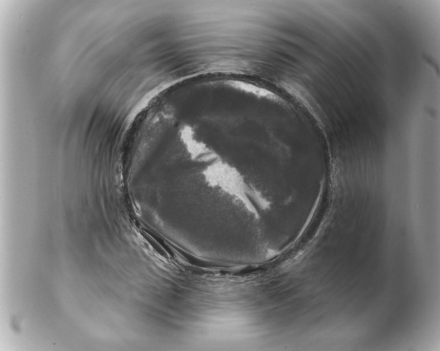 X0000102540923200808291839