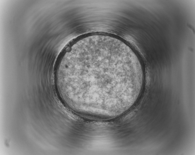 X0000102540924200808291839