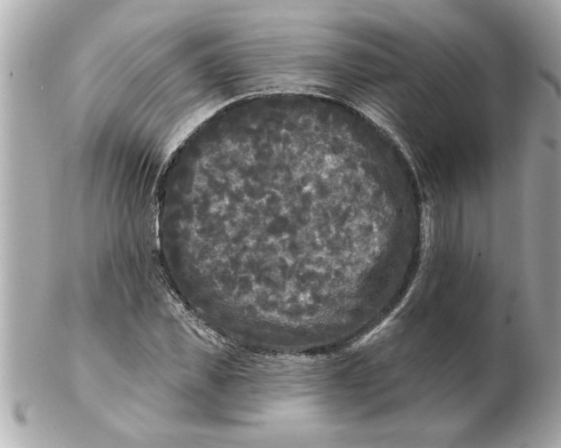 X0000102540925200808291839