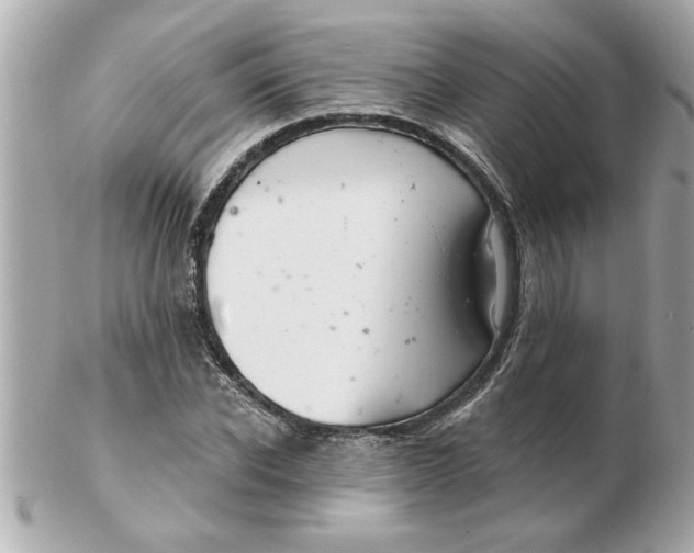 X0000102540926200808291839