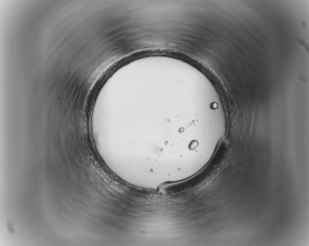 X0000102540927200808291839