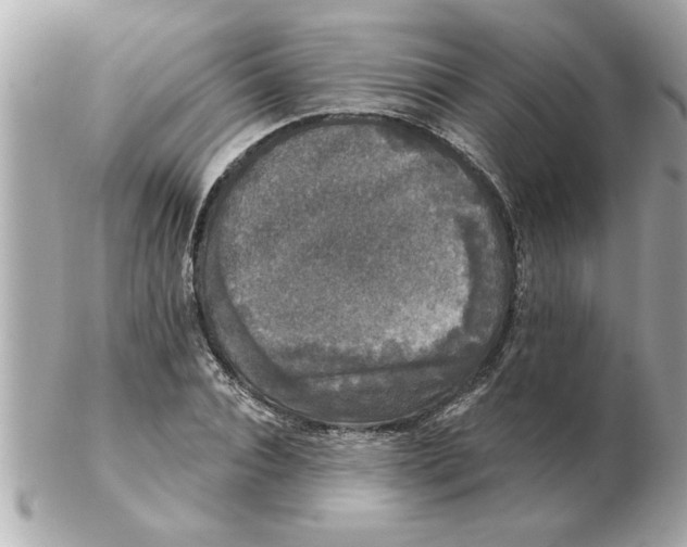 X0000102540928200808291839