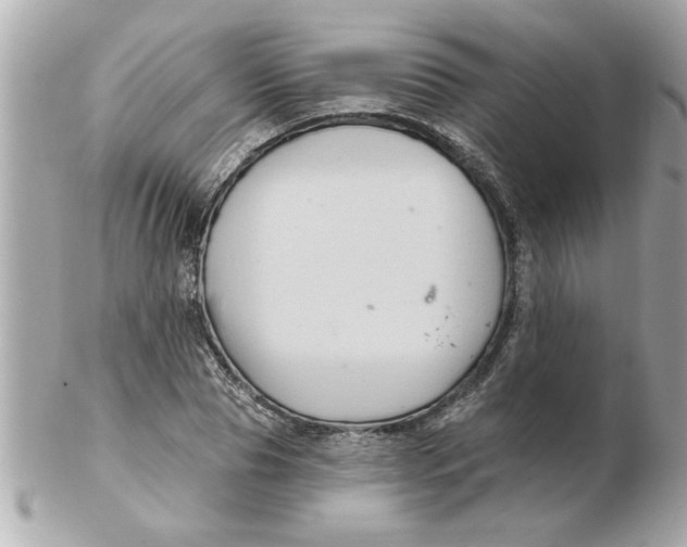 X0000102540929200808291839