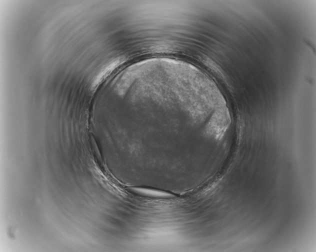 X0000102540930200808291839