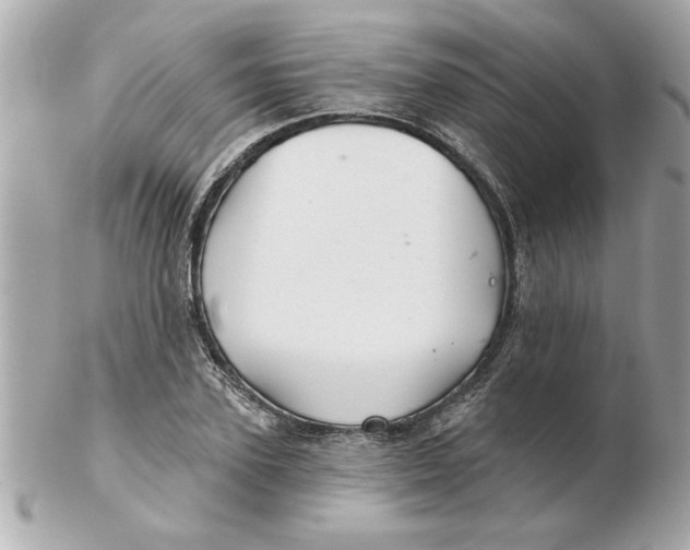 X0000102540931200808291839