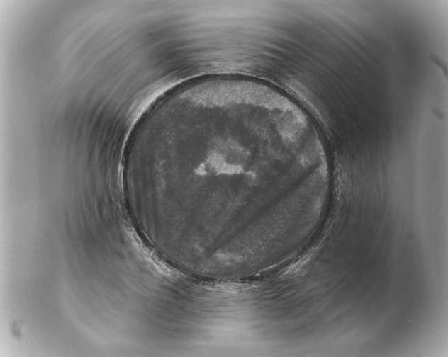 X0000102540932200808291839