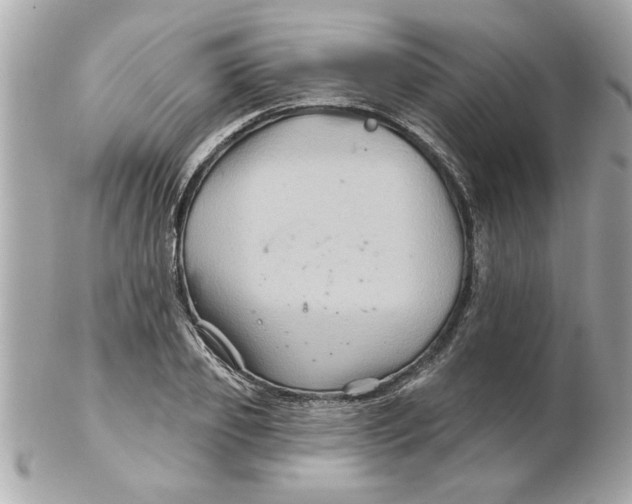 X0000102540933200808291839