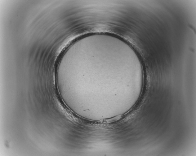 X0000102540934200808291839