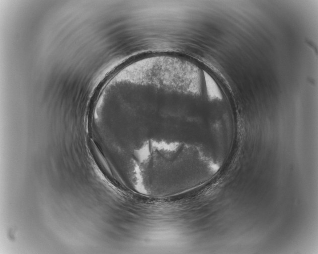 X0000102540935200808291839