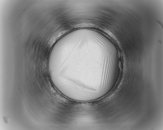 X0000102540937200808291839